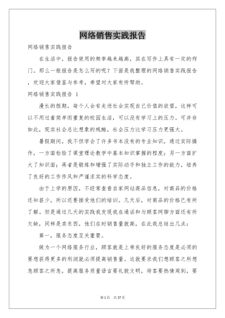 网络销售实践报告 