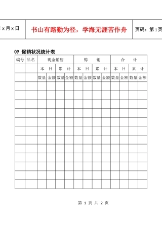 09促销状况统计表
