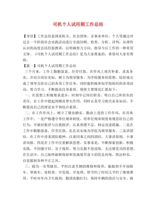 司机个人试用期工作总结 