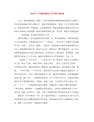 2020年11月旅游局执法工作年度汇报总结