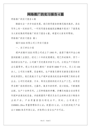 网络推广的实习报告4篇