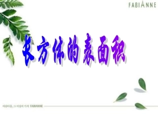 长方体和正方体的表面积 (2)