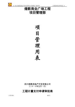 项目管理部表格(石化)