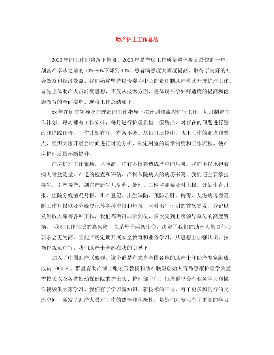 助产护士工作总结_第1页