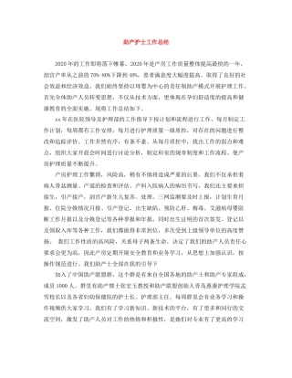 助产护士工作总结