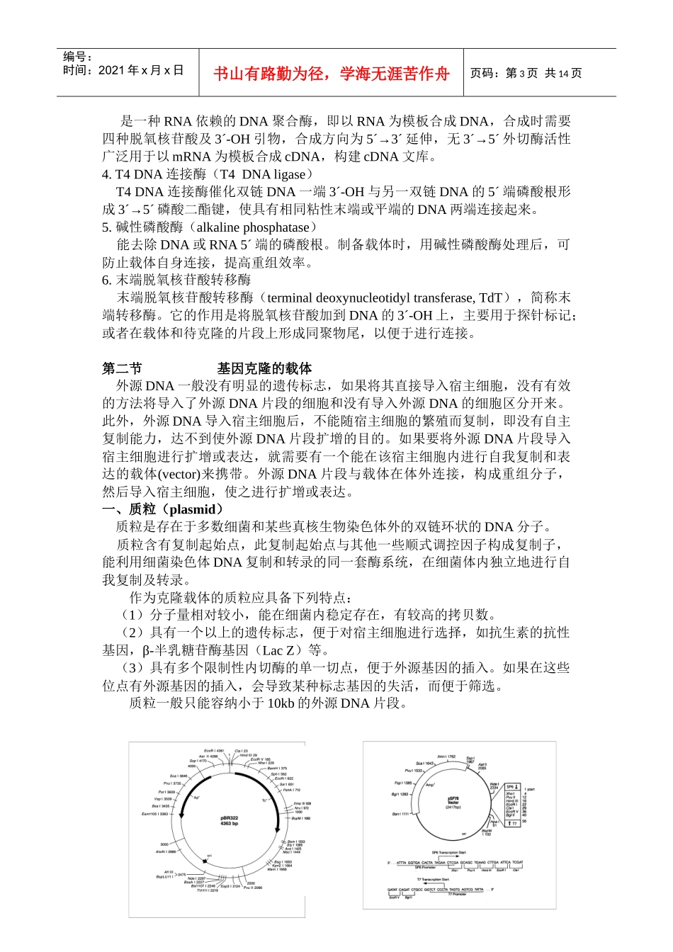 第八章基因工程与体外表达doc-wwwxymunet_第3页
