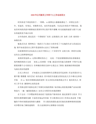 2020年公司新员工年终个人工作总结范文