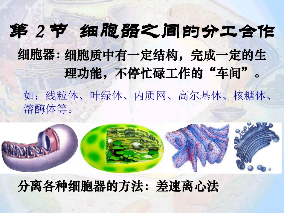 细胞器之间的分工合作 ()_第2页