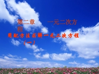 叶邑实验学校牛俊221卿