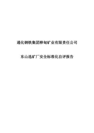 选矿厂安全生产标准化自评报告(DOC83页)