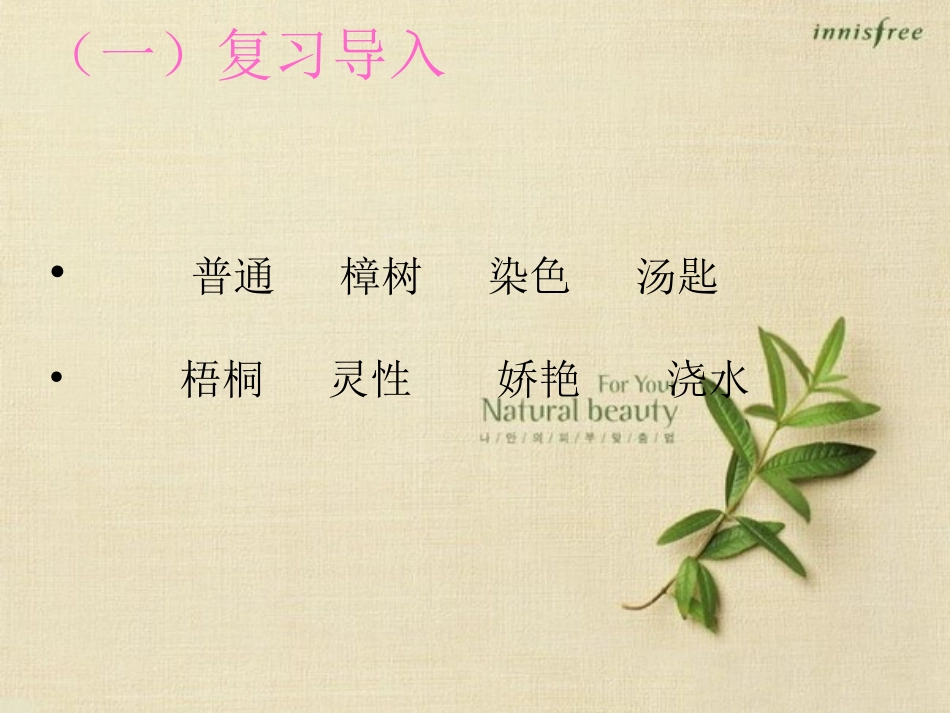 舍不得这棵树（2课时）icrosoftPowerPoint演示文稿_第2页