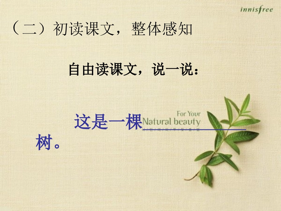 舍不得这棵树（2课时）icrosoftPowerPoint演示文稿_第3页