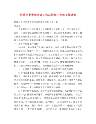 供销社上半年党建工作总结和下半年工作计划 