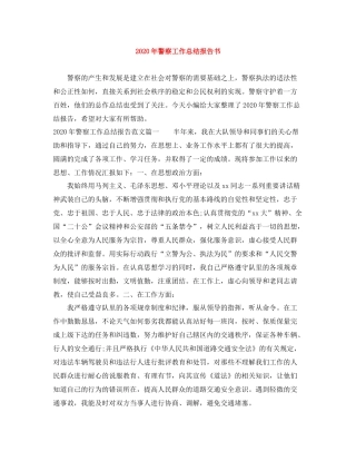 2020年警察工作总结报告书