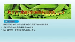 孟德尔的豌豆杂交实验（二）第1课时