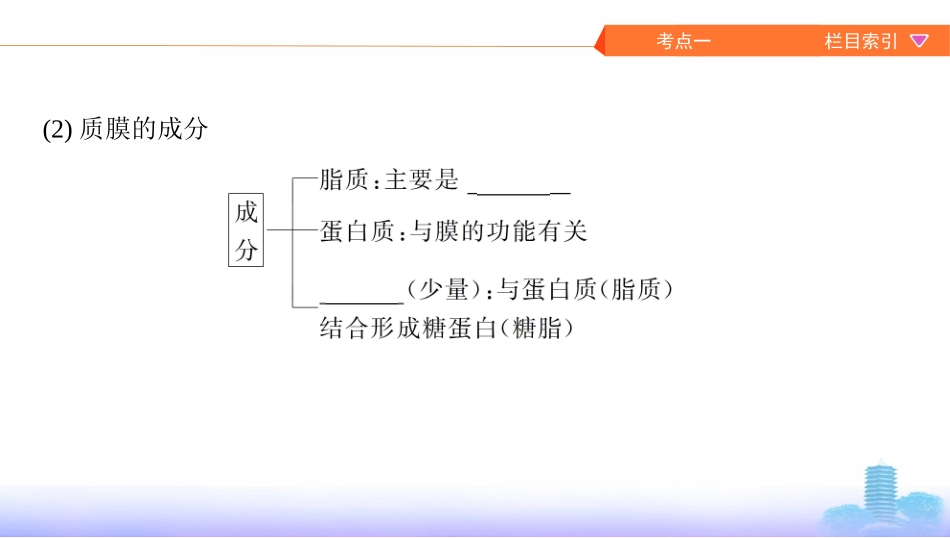 第4讲　质膜(细胞膜)与细胞核_第3页