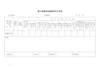 (安全检查标准)评分表