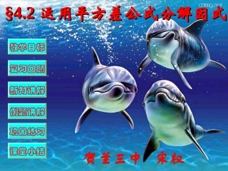 因式分解——运用平方差公式