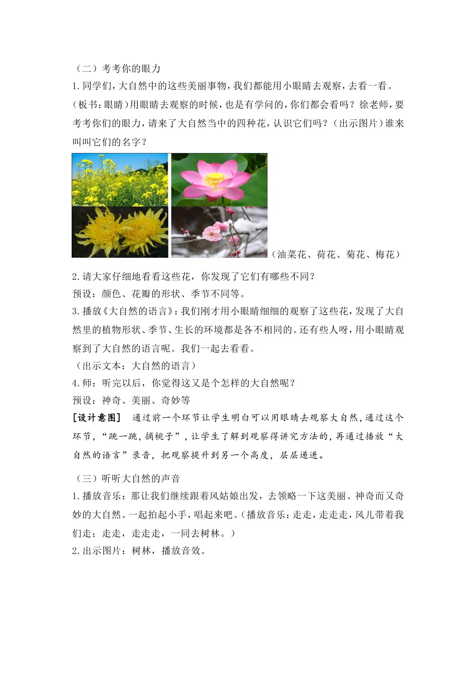 《美丽的大自然》教学设计_第3页