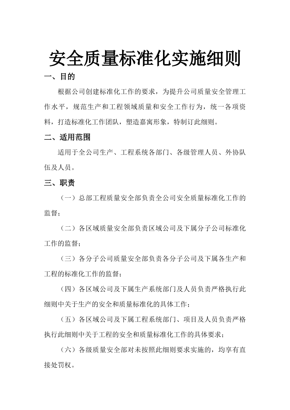 安全质量标准化实施细则_第1页