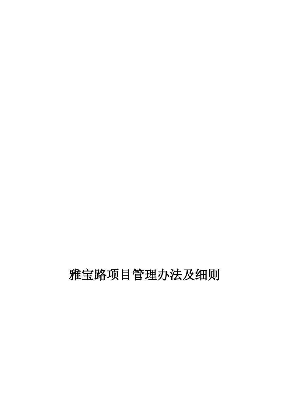 雅宝路项目管理知识方案及细则表_第1页