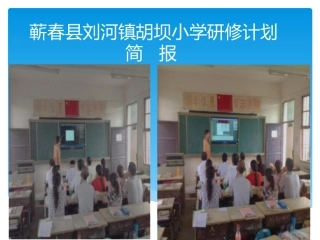 蕲春县刘河镇胡坝