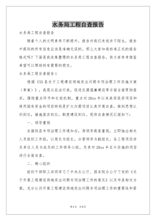 水务局工程自查报告