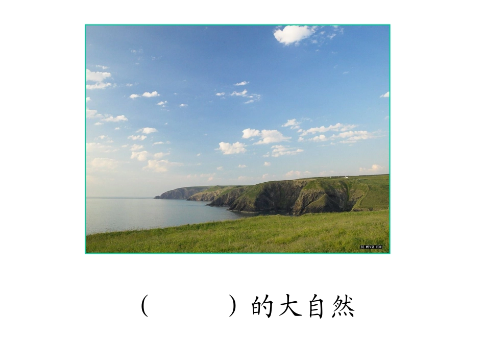 、植物妈妈有办法_第1页