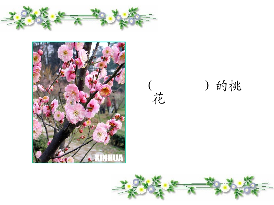 、植物妈妈有办法_第3页