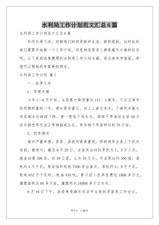 水利局工作参考计划范本汇总6篇