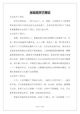 水仙花开了周记