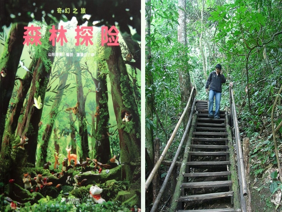 《确定位置(一)》精品_第2页