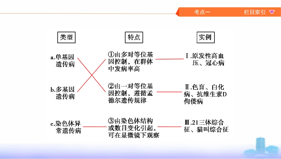 第16讲　人类遗传病_第3页