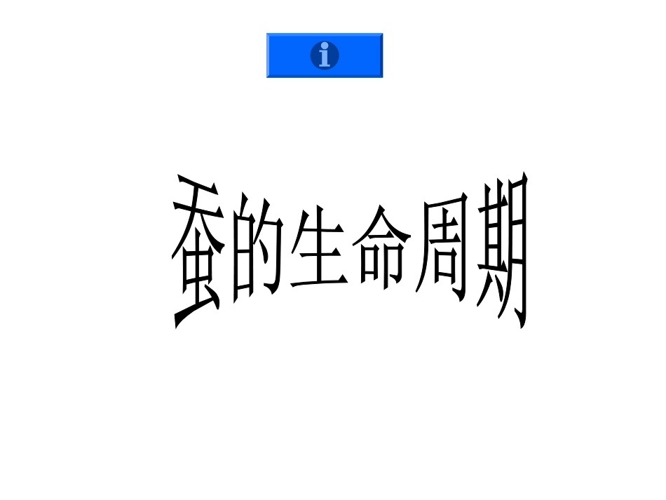 蚕的生命周期_第1页