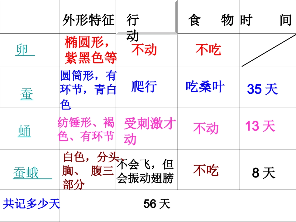 蚕的生命周期_第2页