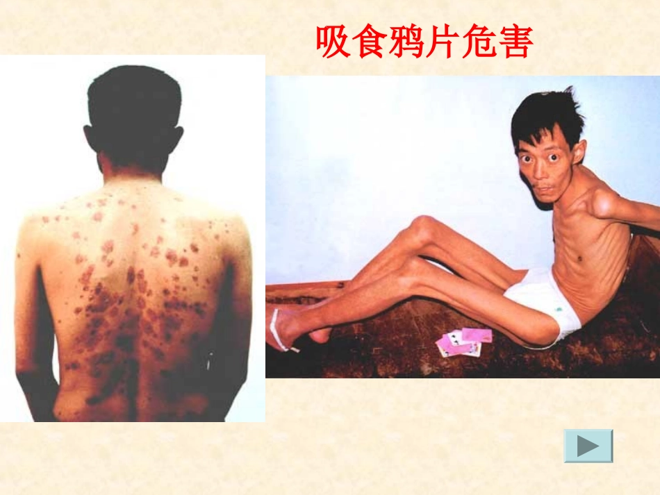 《虎门销烟》第一课时_第3页