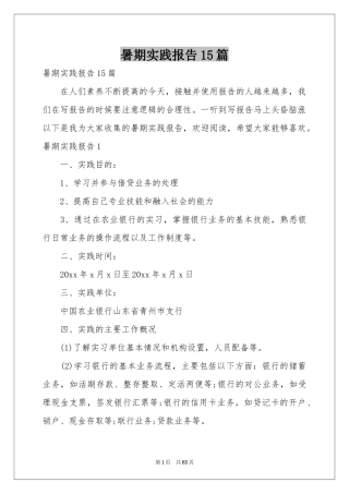 暑期实践报告15篇