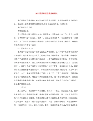 团员年度自我总结范文