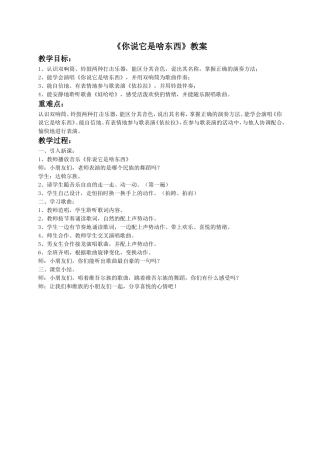 《你说它是啥东西》教案