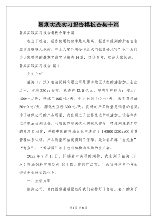 暑期实践实习报告模板合集十篇