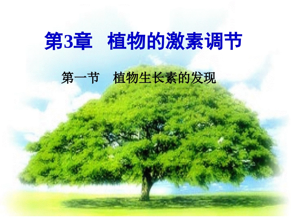 植物生长素的发现XG_第2页