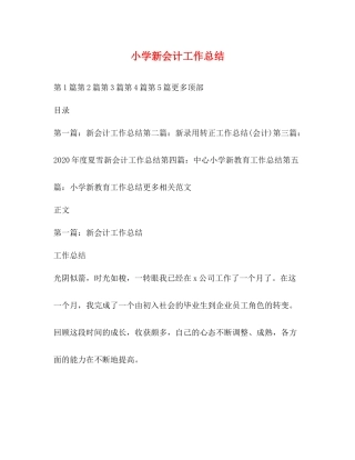 小学新会计工作总结