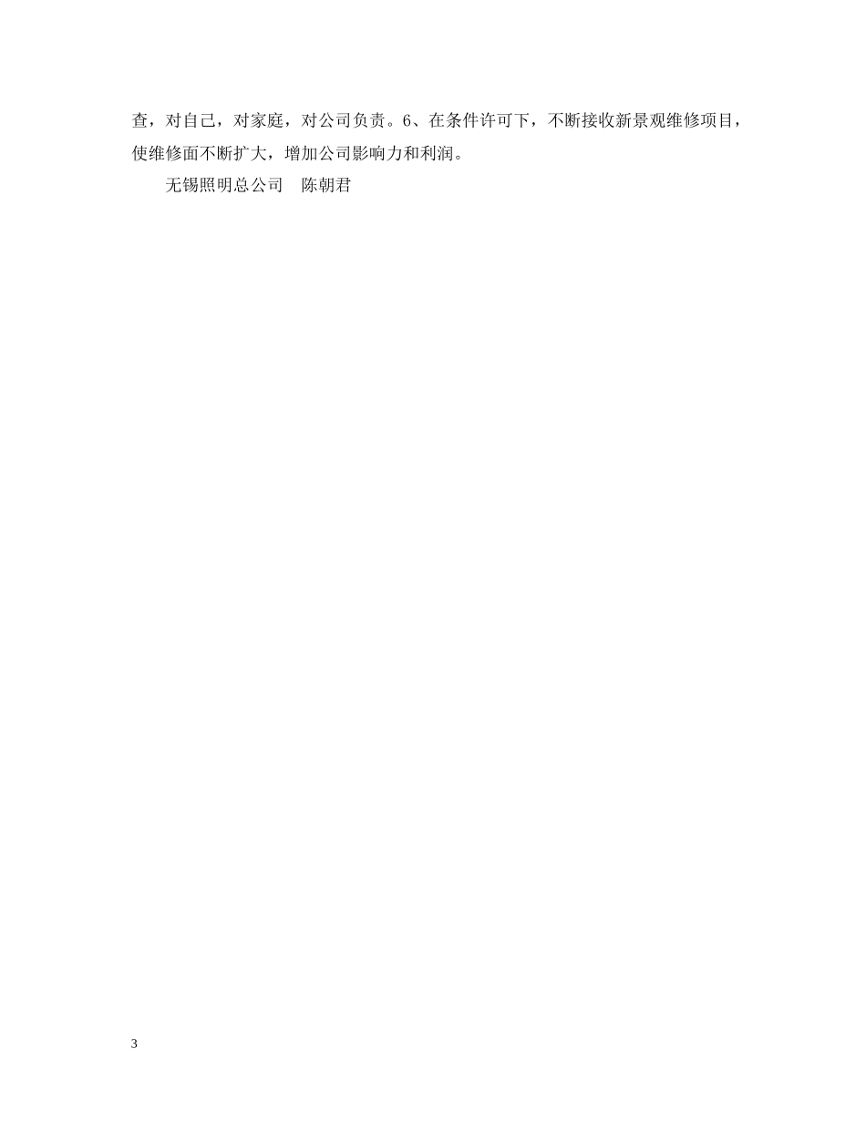 照明公司个人工作总结范文_第3页