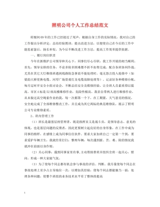 照明公司个人工作总结范文