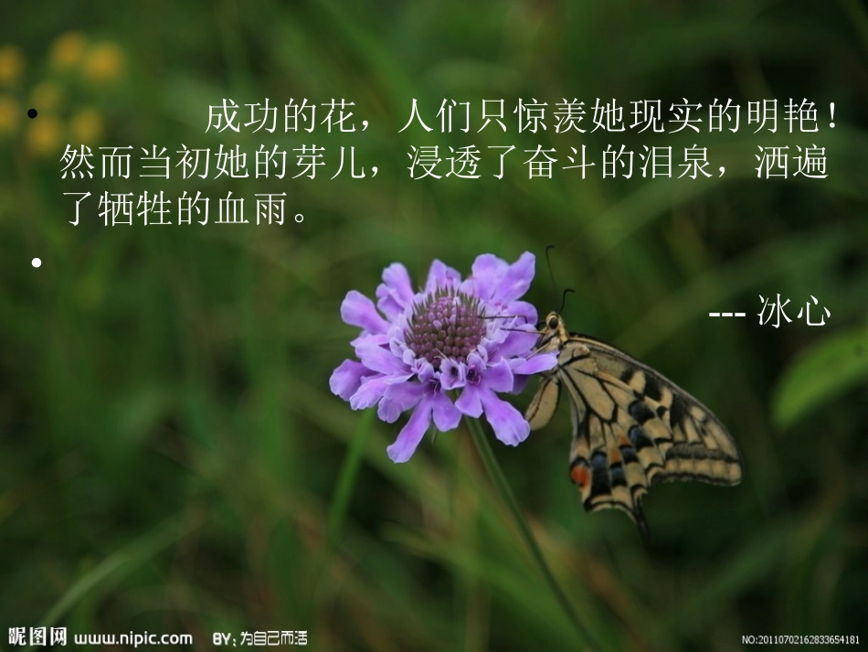 《杏林子》公开课课件_第3页