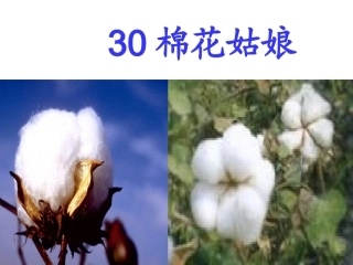 一下语文30棉花姑娘