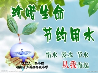 《节约用水》课件——都蛮小学_