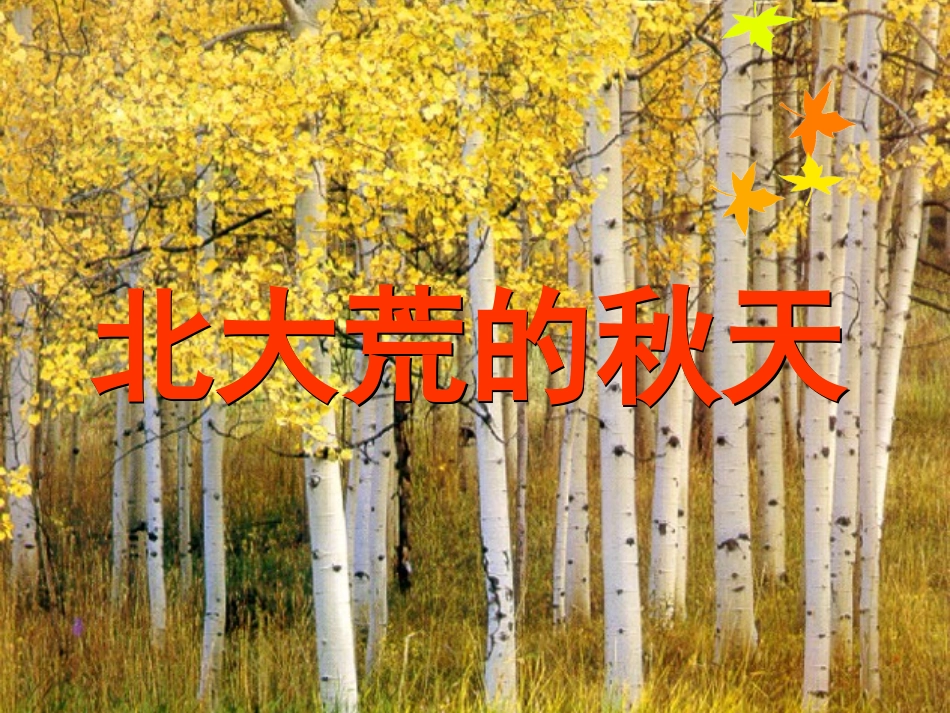 北大荒的秋天第一课时_第3页