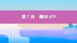 第7讲　酶和ATP