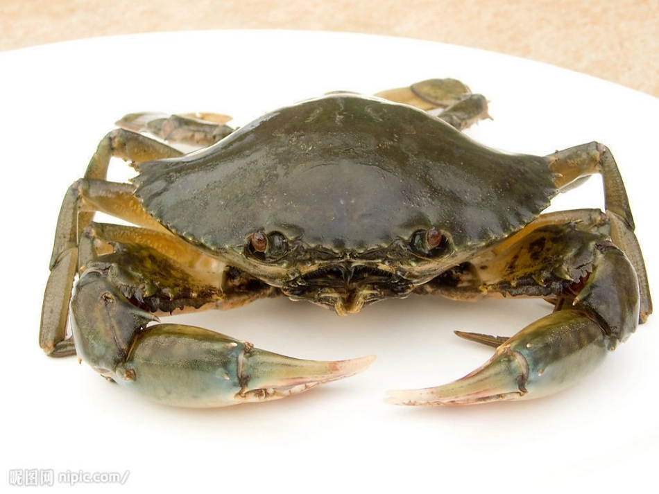 保护自己的动物_第2页